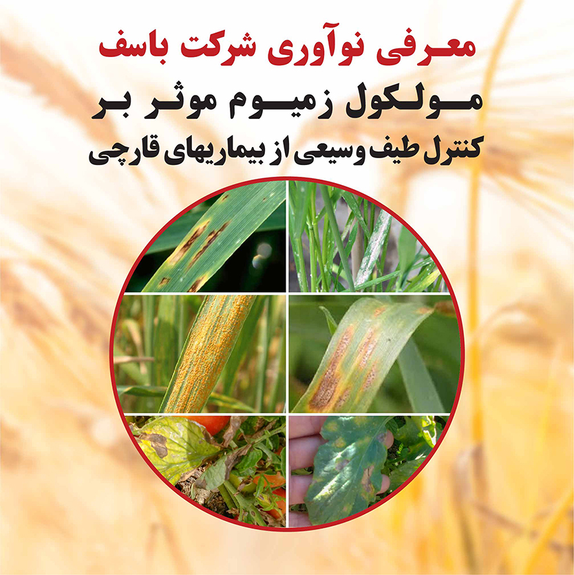 Introduction of Xemium molecule of BASF company